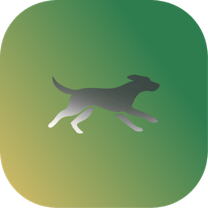 WONDA logo